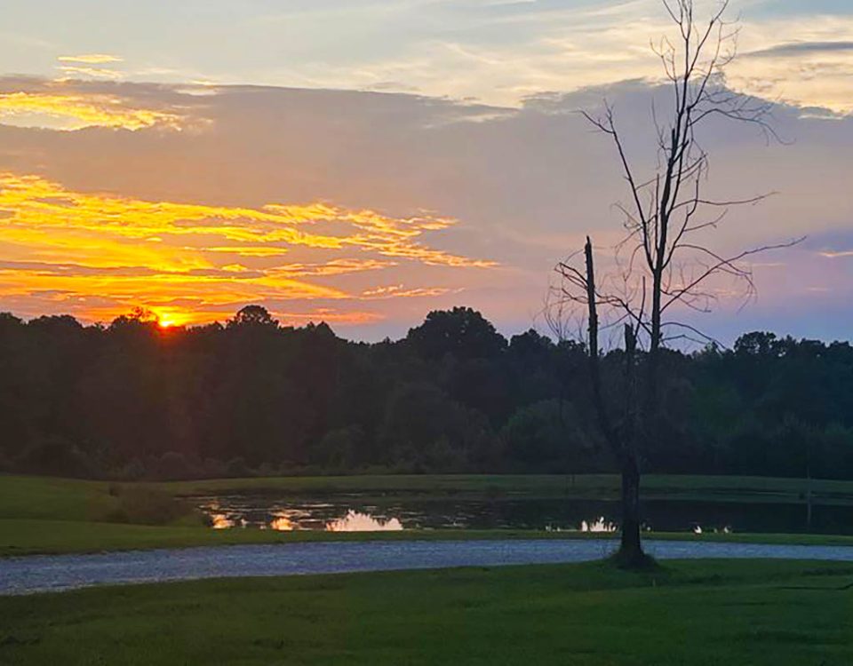 Summer sunset over the pond at Deer Run RV Park in Troy, Alabama